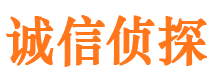 武定私家侦探